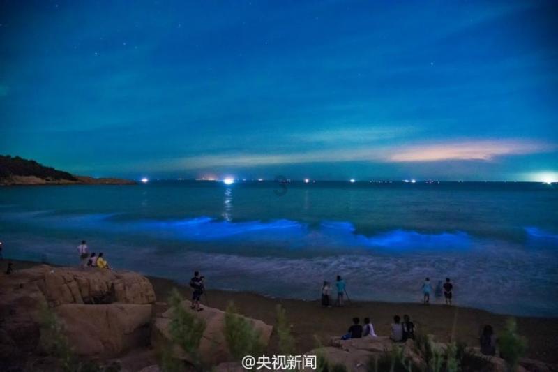 栅栏迷宫