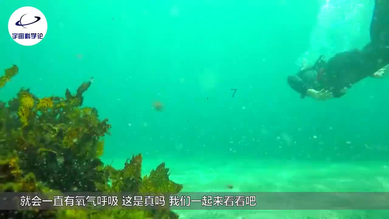 重庆红岩获评重庆高新技术企业资质